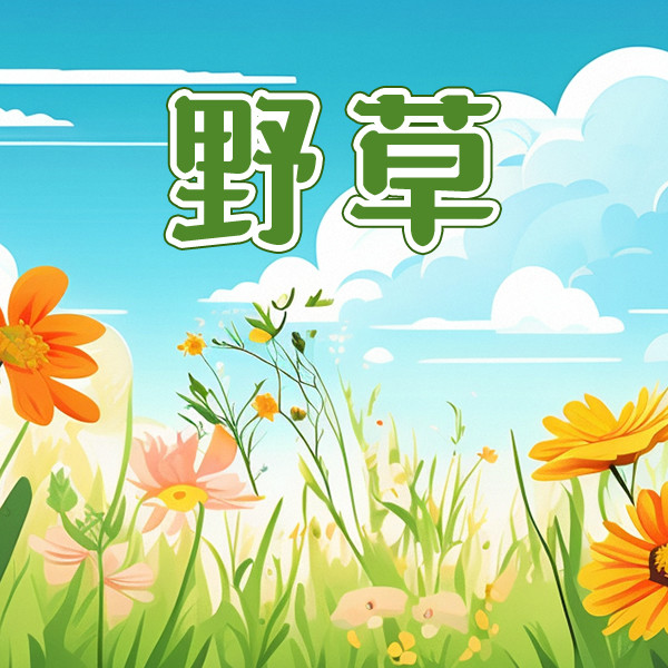 野草-中视视界